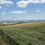 Eifelpanorama am Sammeskopf