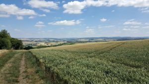 Eifelpanorama am Sammeskopf